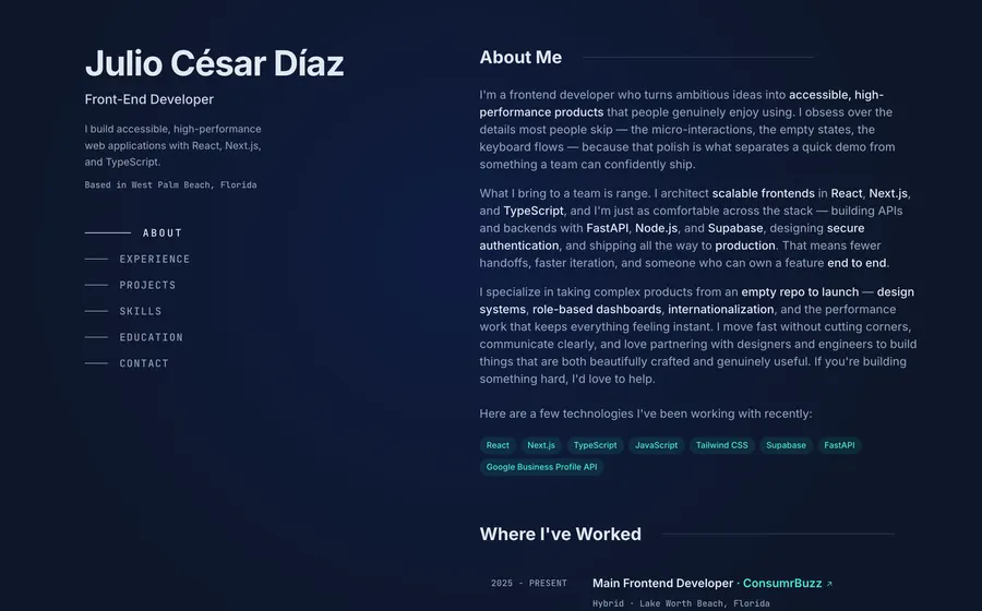 Professional Portfolio preview